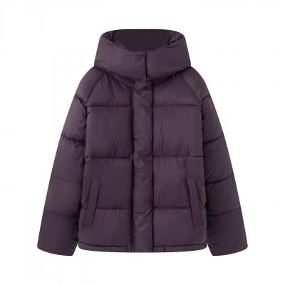 Women Puffer Coat